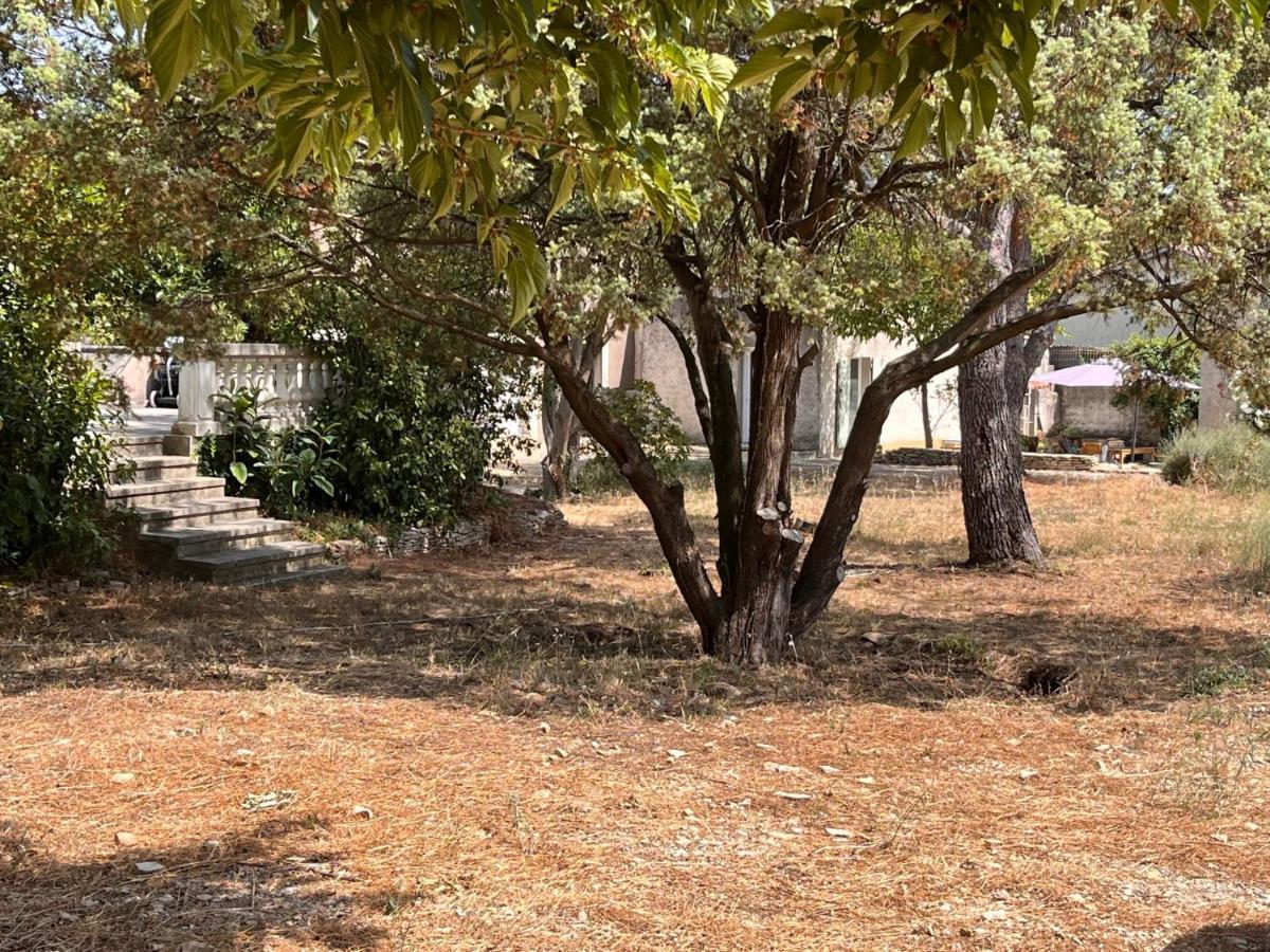 Maisonnette Independante Avec Jardin/Patio Ним Экстерьер фото